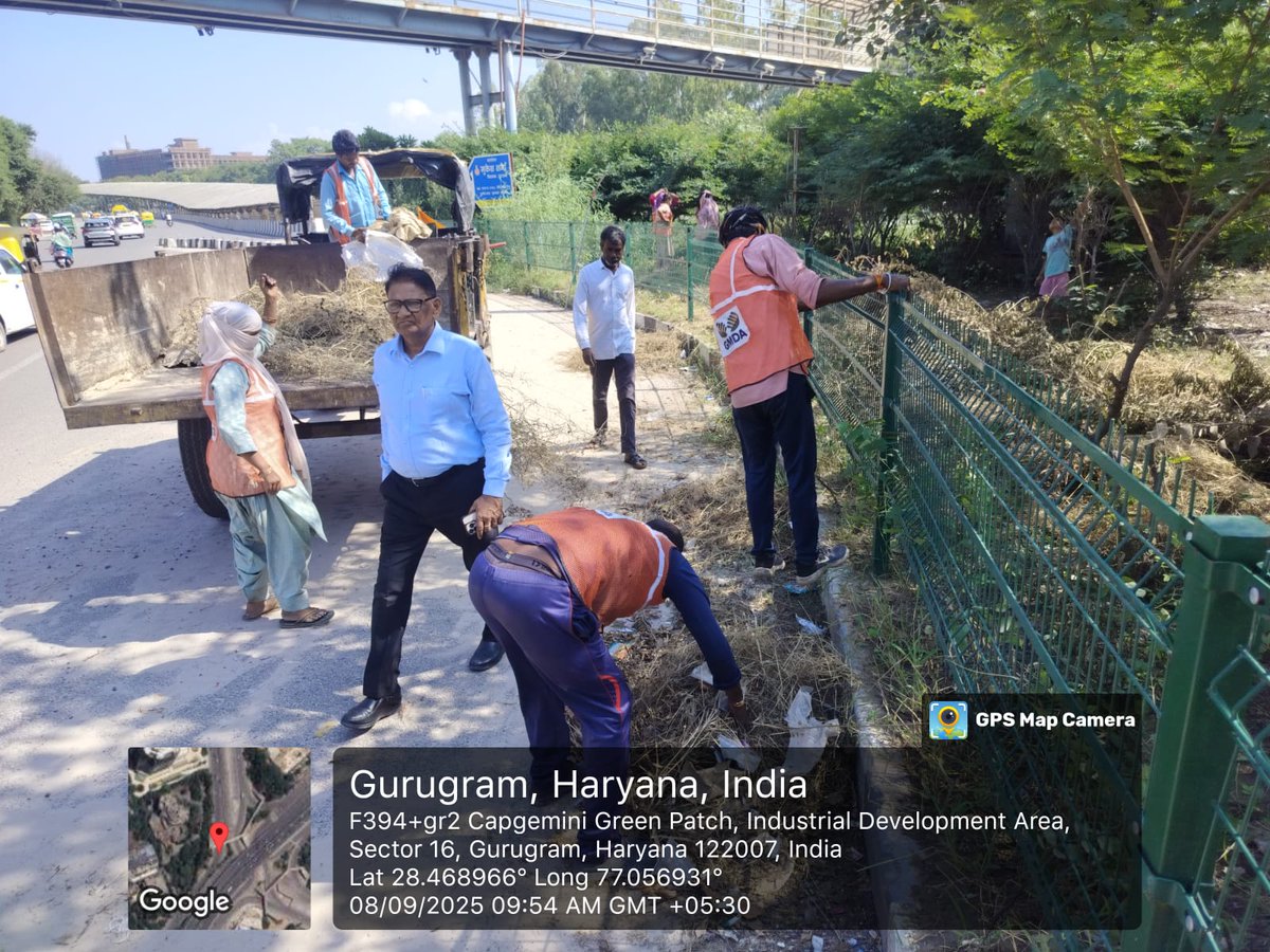 OfficialGMDA's tweet photo. 🍃Tree trimming is being carried our along Signature Tower green spaces to provide a clear & well-maintained stretch for commuters.
#RoadSafety #EasyCommute #MaintenanceWorks
@DC_Gurugram @MunCorpGurugram https://t.co/Q85ByVevIa