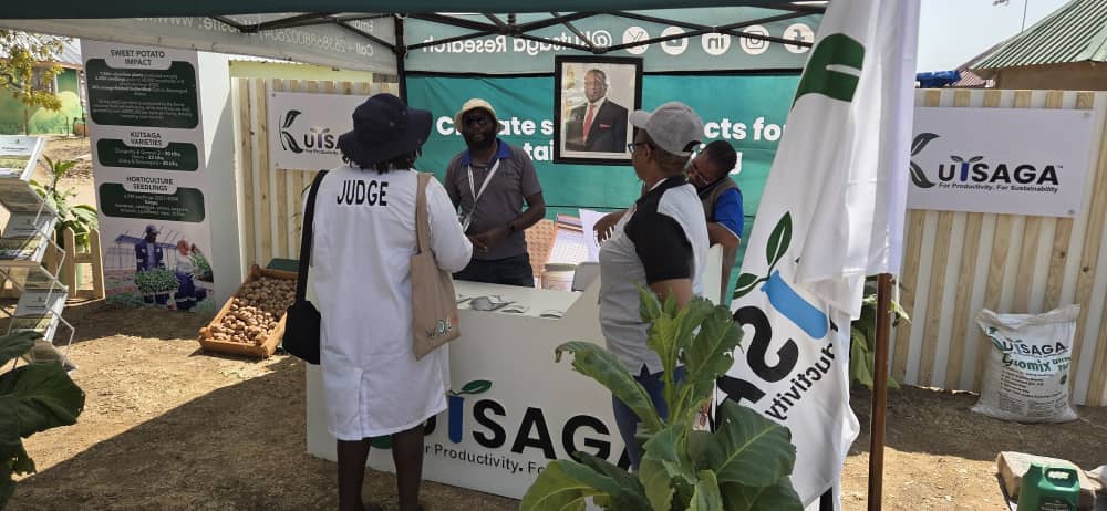 Kutsaga Research tweet media