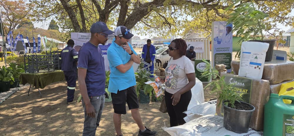 Kutsaga Research tweet media