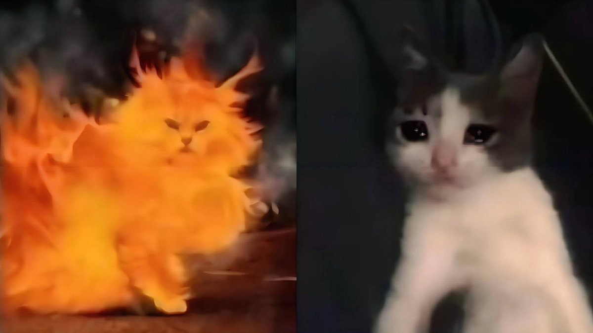 𝗚𝗿𝗮𝗰𝗲. tweet media