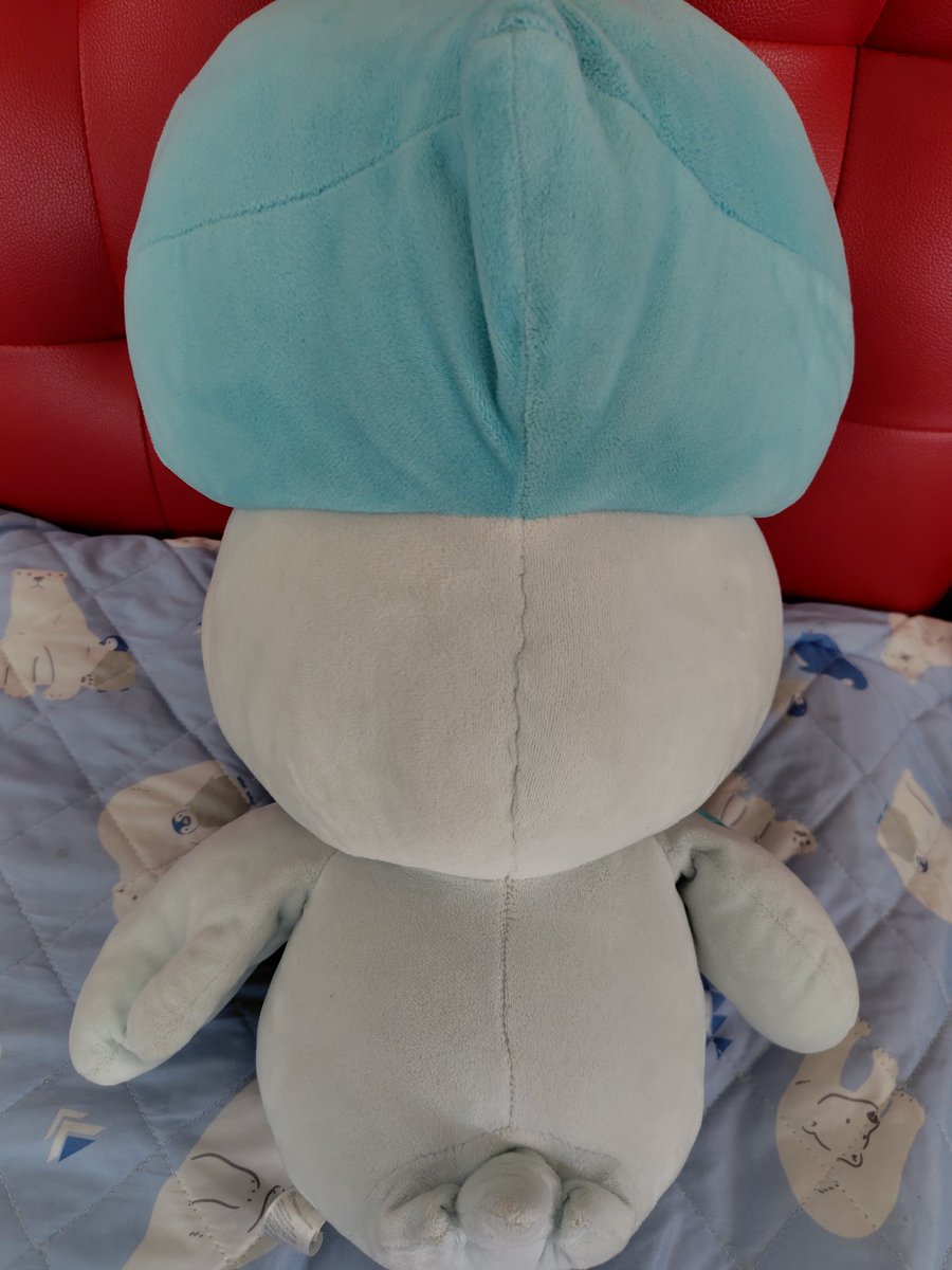 9/8クワクワクワッスの日🩵 
どこから見ても可愛いね( ु ›ω‹ ) ु🩵
#クワッスの日