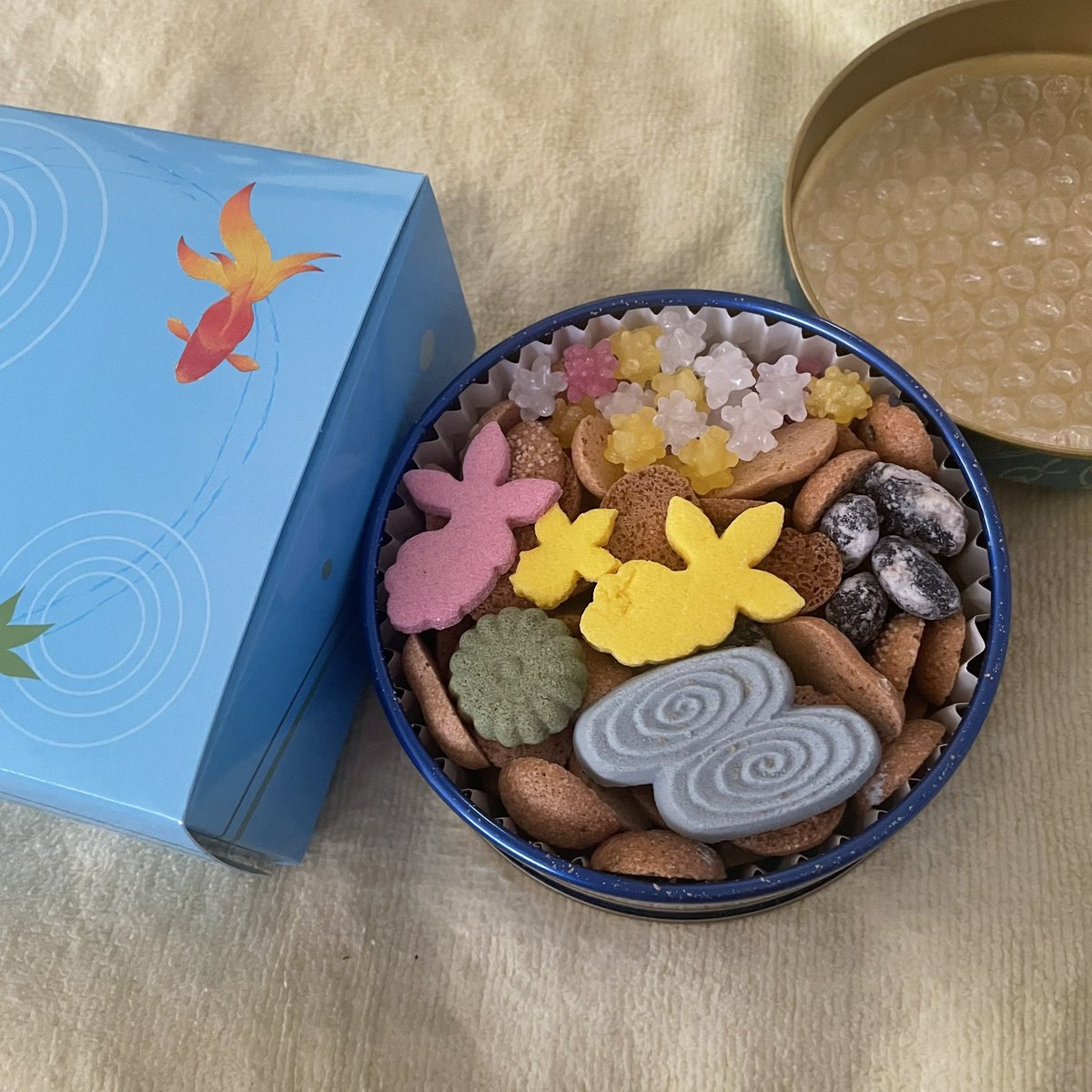 娘にもらってた夏の富貴寄『金魚缶』
なんて可愛らしいんでしょう！