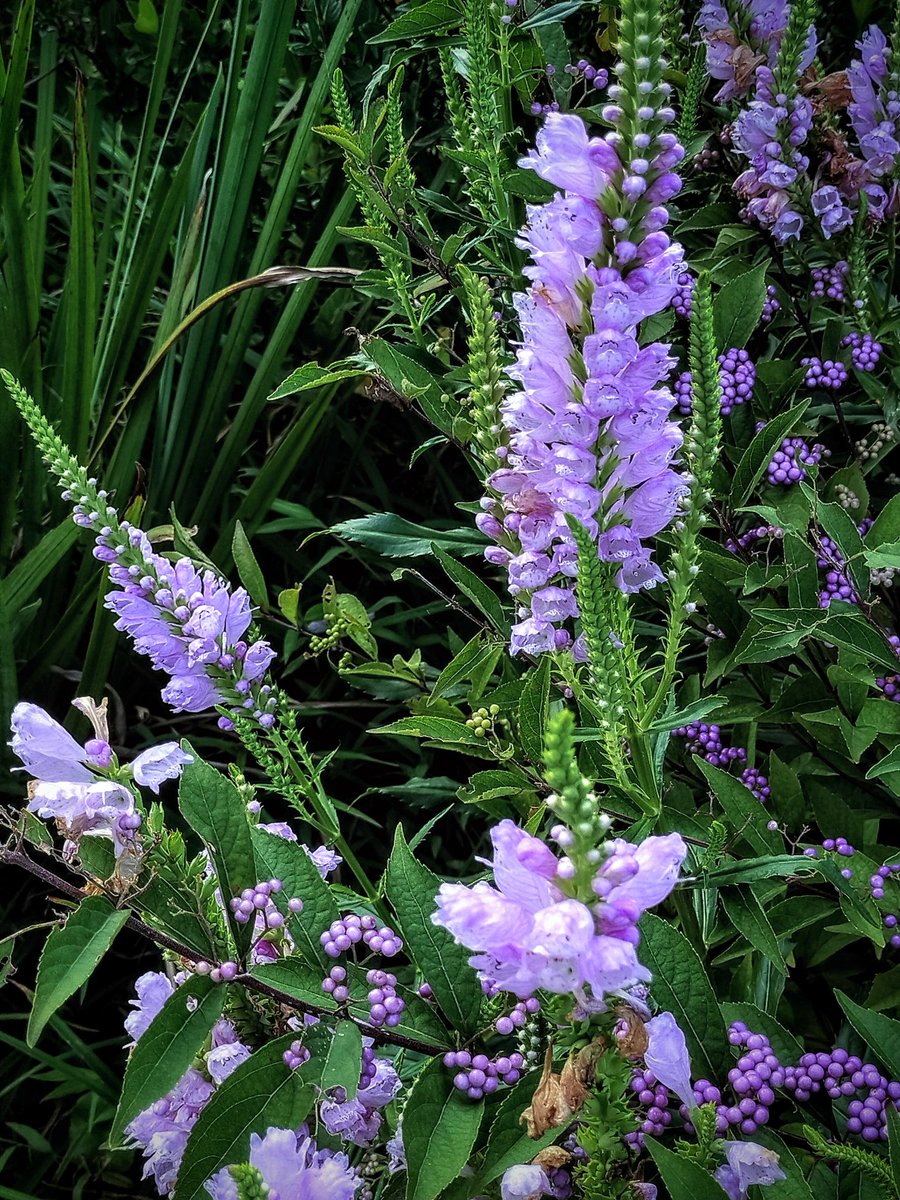 Keigo Taniguchi (@keigo_taniguchi) on Twitter photo 