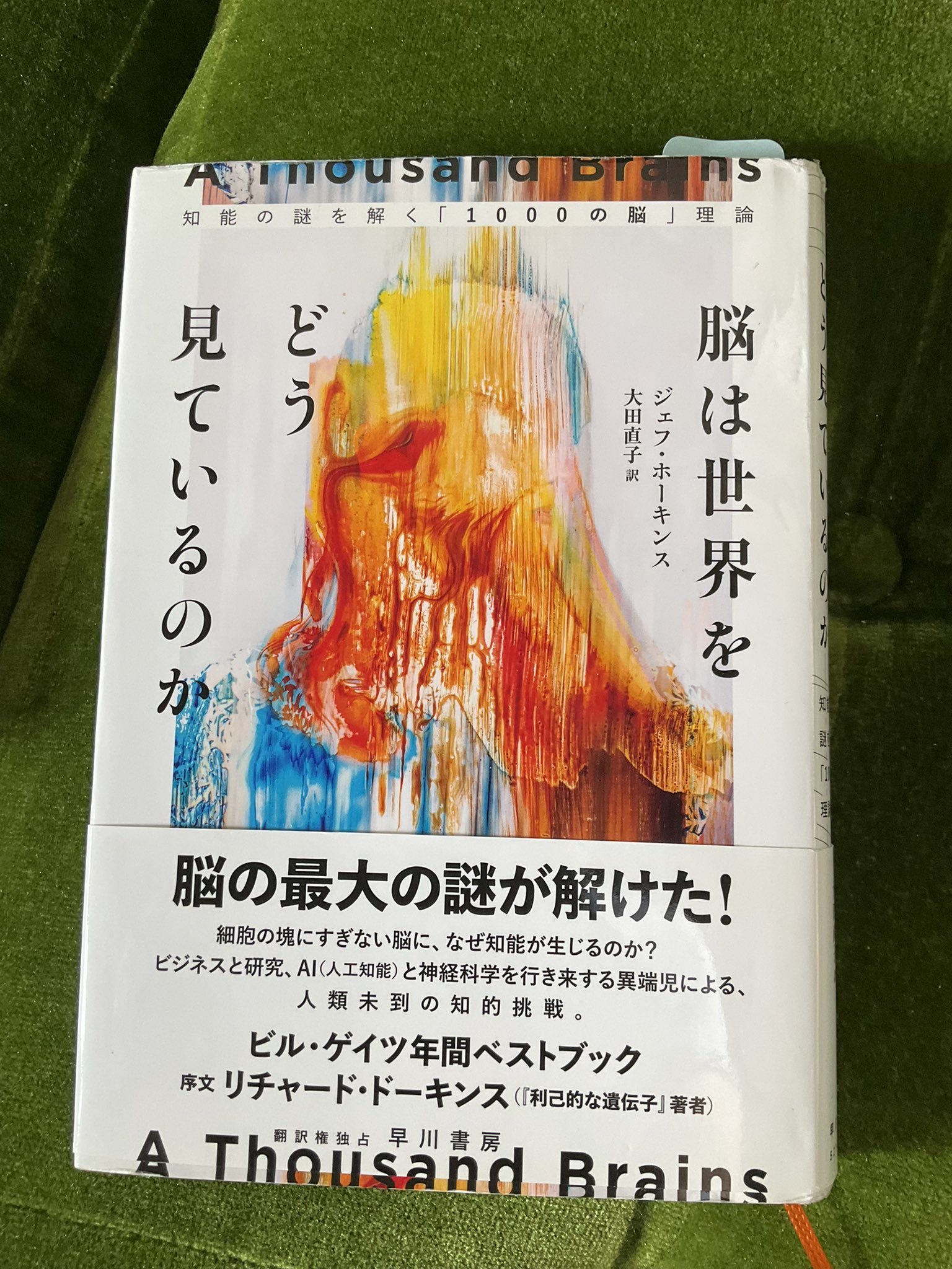 23.値下げ【貴重書籍】インド政府AUSHU省編　ホメオパシー科学穏やかな治療法 23.値下げ【貴重書籍】インド政府AUSHU省編 ホメオパシー科学