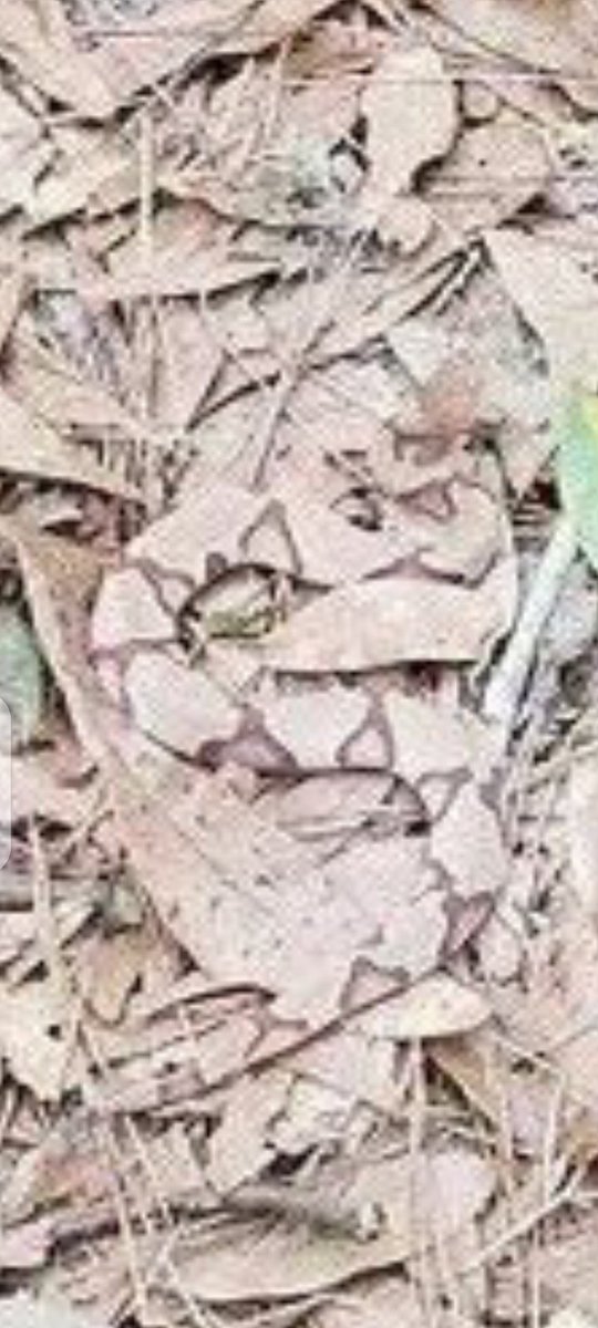 TuenDaGreat tweet media