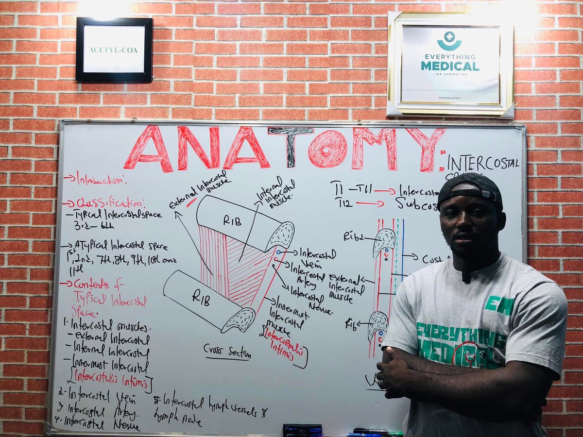 Above all, I love Teaching BCH❤️, 

Ribs and Intercostal space are already OUT, link on my bio. 

<a href="/Medzonetv/">Medzonetv</a> <a href="/Brainstormmed01/">Brainstorm_Med Tv</a> <a href="/Glycerol_/">The Super Medic🩺</a> <a href="/medikozone/">Medic Ozone🩺</a> <a href="/med_surge/">Surge</a>