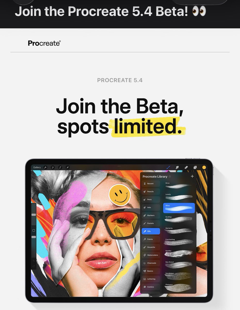 antonio07341176's tweet photo. Just got invited to join the @Procreate Beta! 👀 Been waiting for this moment forever, let's goooo for iPadOS 26! 🖌️🔥 #ProcreateBeta https://t.co/48HiibbDzx