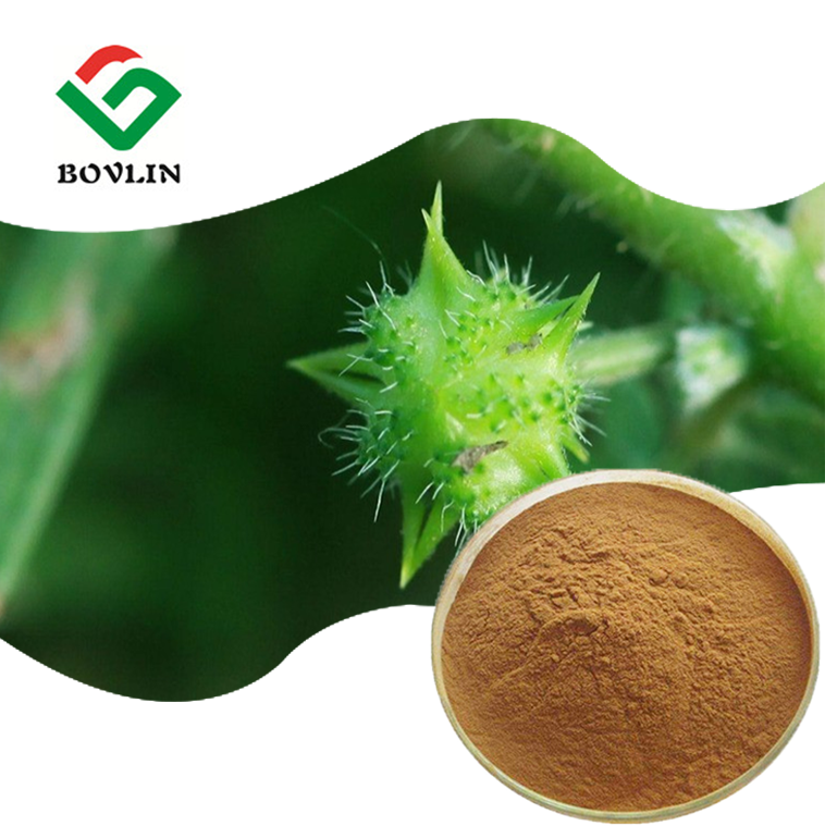 bovlin_herb's tweet image. Unlock Natural Vitality with Tribulus Terrestris Tribulus Terrestris Extract.
✅ Libido &amp;amp; Reproductive Health
✅ Athletic Performance &amp;amp; Strengthendurance, and physical performance.
✅ Overall Well-being
#TribulusTerrestris #NaturalSupplements #SportsNutrition #Wellness