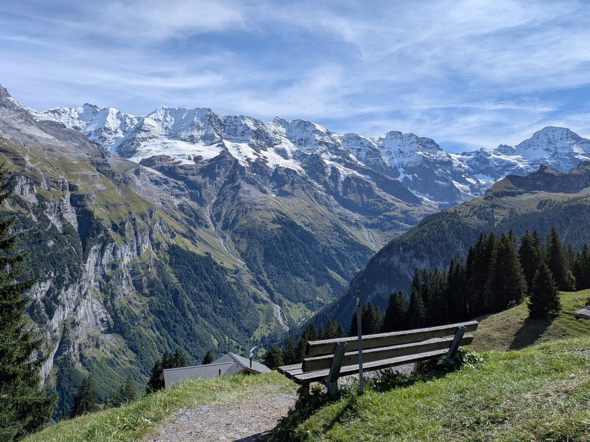 enscribe tweet media