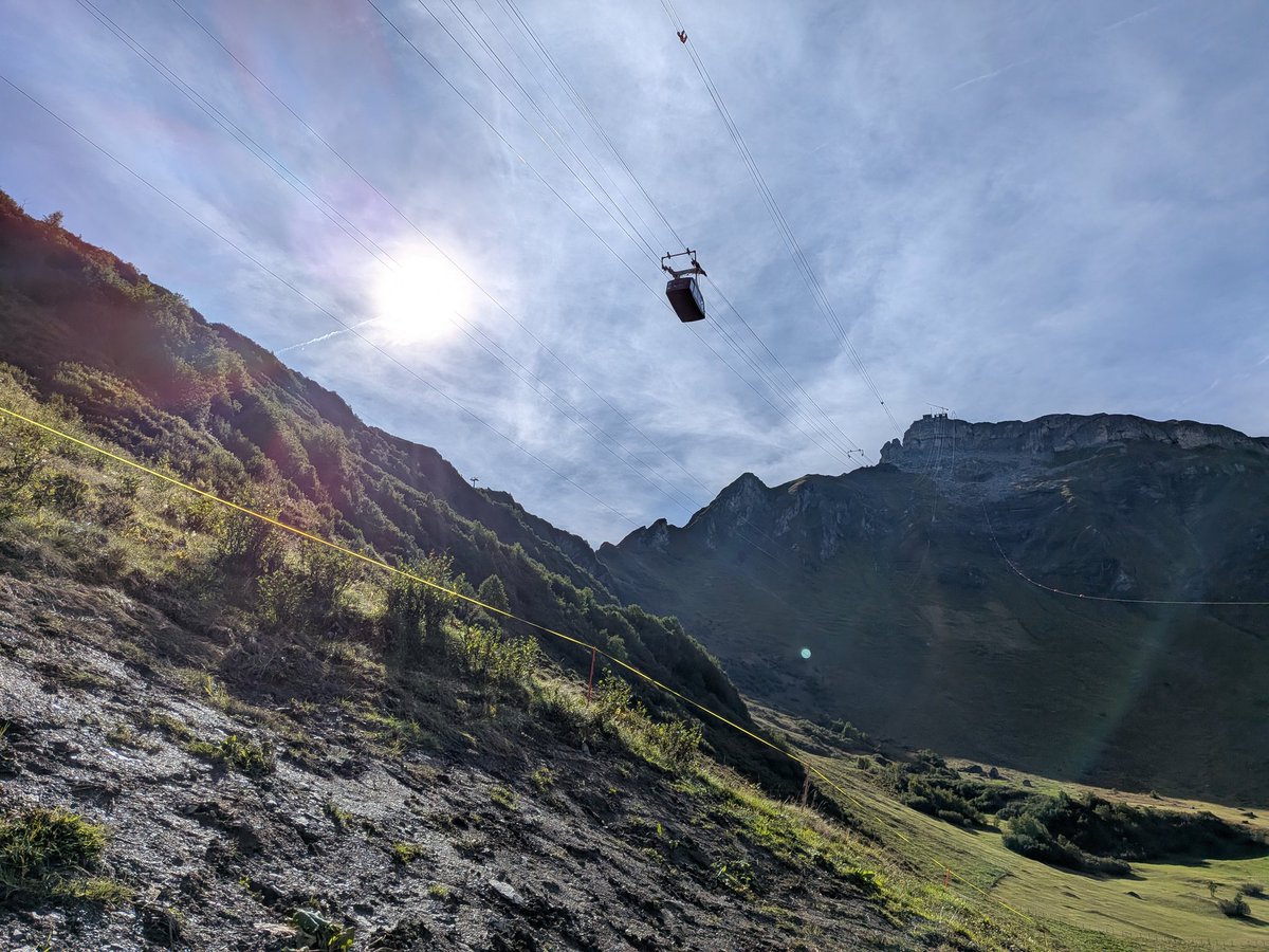 enscribe tweet media