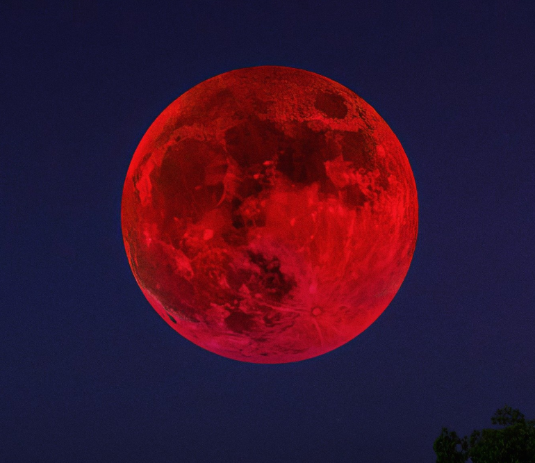 SuperEx's tweet photo. altseason is here, to the moonnnn  

the moon : https://t.co/Wixqz606S3
