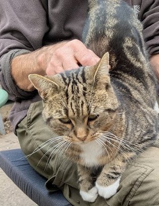 (Amanda)

I sat on Uncle Mick's lap again yesterday.

Betty says he is my new BFF. I have no idea what she means, does it make sense to you?

Anyway, I'm enjoying making new friends and I want to keep it up.

I might become as friendly as Robert and Barbs one day.