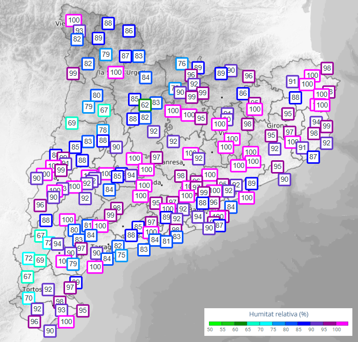 Poc se'n parla de la xafogor horrorosa que fa avui. Humitats altíssimes a tot Catalunya.