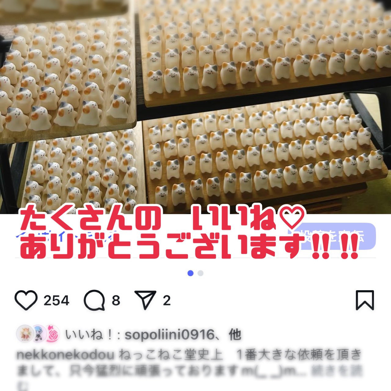 ねっこねこ堂 on X: 