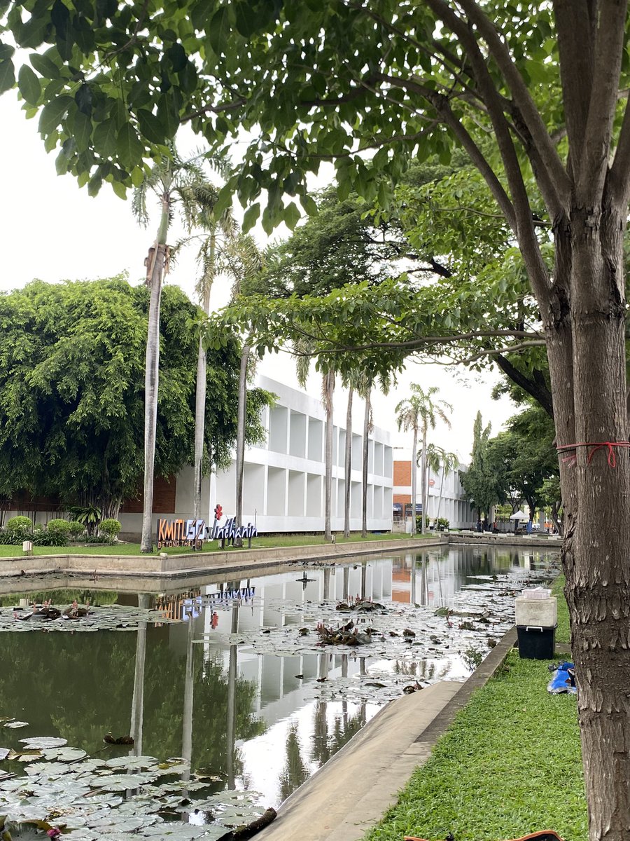 tigerlittlemeow's tweet image. I want it                                I got it