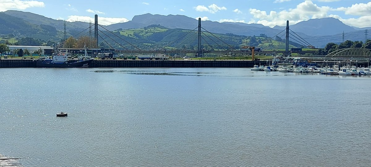 ¡Vámonos a #Colindres! 🗓️ 23, 24 y 25 de octubre➡️"IV #Congreso Internacional y Multidisciplinar sobre el Mundo Antiguo (CIMMA). Viajes, comercio e intercambios en la #Antigüedad", de #UNEDCantabria

👥🖥️Presencial y ONLINE en directo. 

ℹ️multiweb.uned.es/w39943/present…

<a href="/AytoColindres/">Ayuntamiento de Colindres</a>