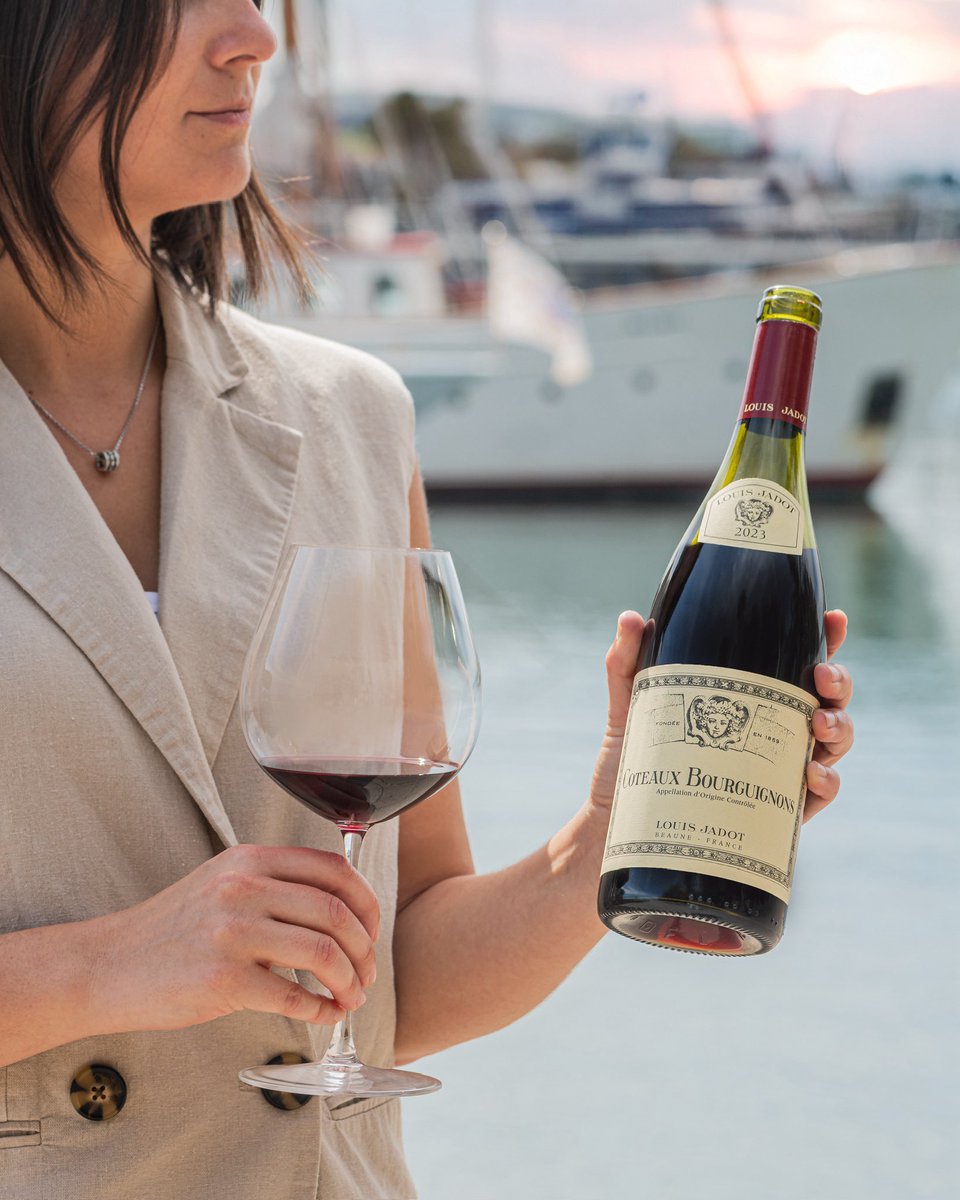 Coteaux Bourguignons Rouge 2023 es el fragante tinto de la prestigiosa Maison Louis Jadot (Bourgogne). Pinot noir y gamay con fruta roja jugosa, taninos muy presentes y un final fresco. Para disfrutar en su juventud. #vinodeldía bit.ly/4fQvwMn