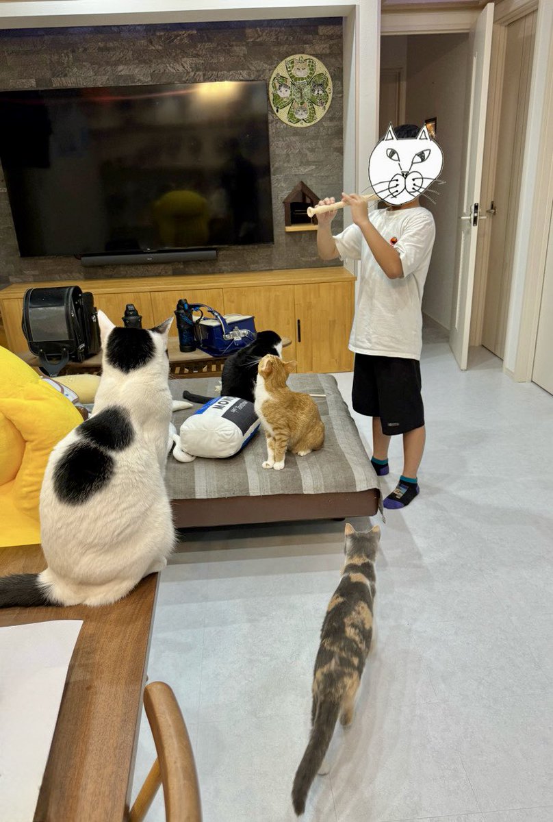 リコーダーの練習を始めたら、猫が集まってきたぞ(笑)