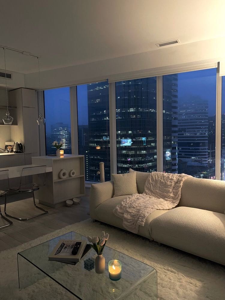 cozy high rise apartment