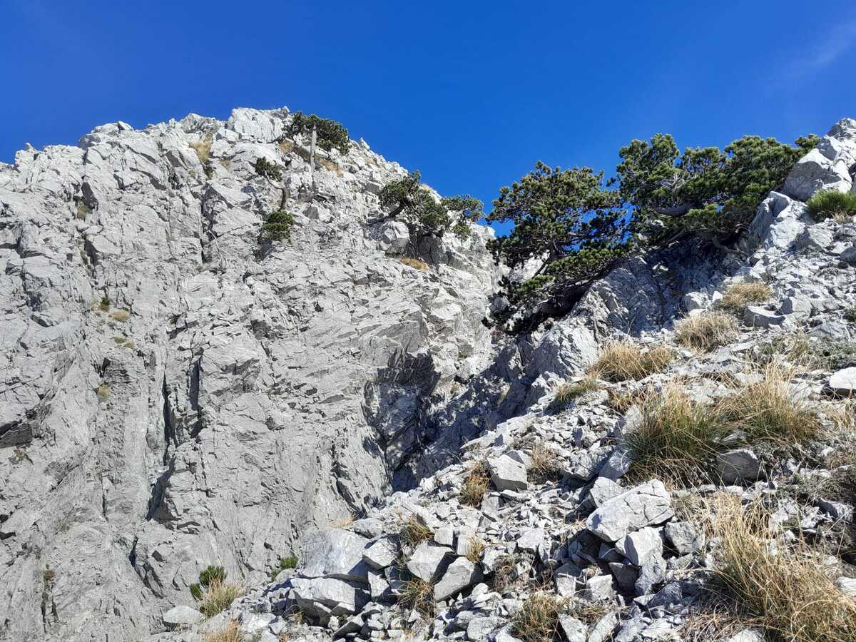 sentieripollino's tweet photo. La Montea è la “Regina” dell’Appennino Meridionale: 1825 m di creste dolomitiche e panorami mozzafiato nel Parco del Pollino.
👉 Scopri di più qui: https://t.co/3a22qg24rO
Foto ©Felice Lucchese
#Pollino #Montea #TrekkingItalia #Montagna #Calabria #Escursionismo #Outdoor https://t.co/6sF8alwgh4