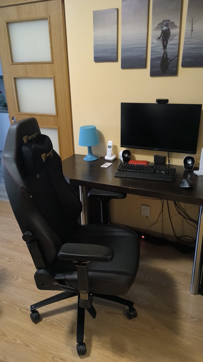 Ricard_Burdu's tweet photo. Check out my new #secretlab chair. https://t.co/j8twQMohkn