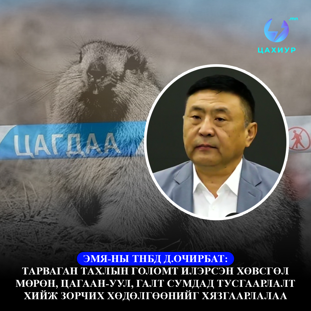 ЭМЯ-ны ТНБД Д.Очирбат: Тарваган тахлын голомт илэрсэн Хөвсгөл Мөрөн, Цагаан-Уул, Галт сумдад тусгаарлалт хийж зорчих хөдөлгөөнийг хязгаарлалаа
