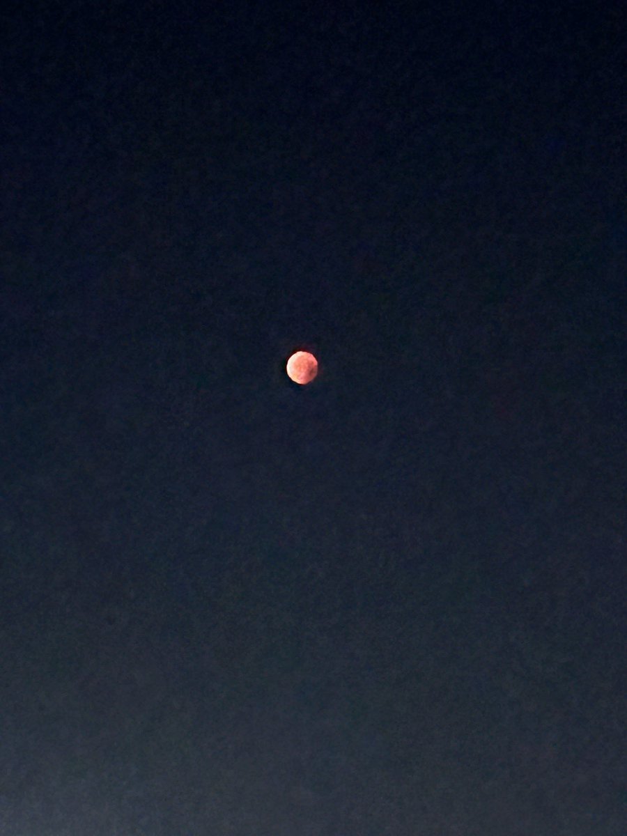 shinitaimf's tweet photo. 皆既月食観れました🌕
昨日は終日モヤモヤしていましたが、今日は少しマシになりました。
月蝕や日食を伴う新月、満月の際は普段以上に感情が不安定になったり、疲れや眠気が出てくるのでゆっくり過ごしましょう。 https://t.co/U6CVBiKBQc