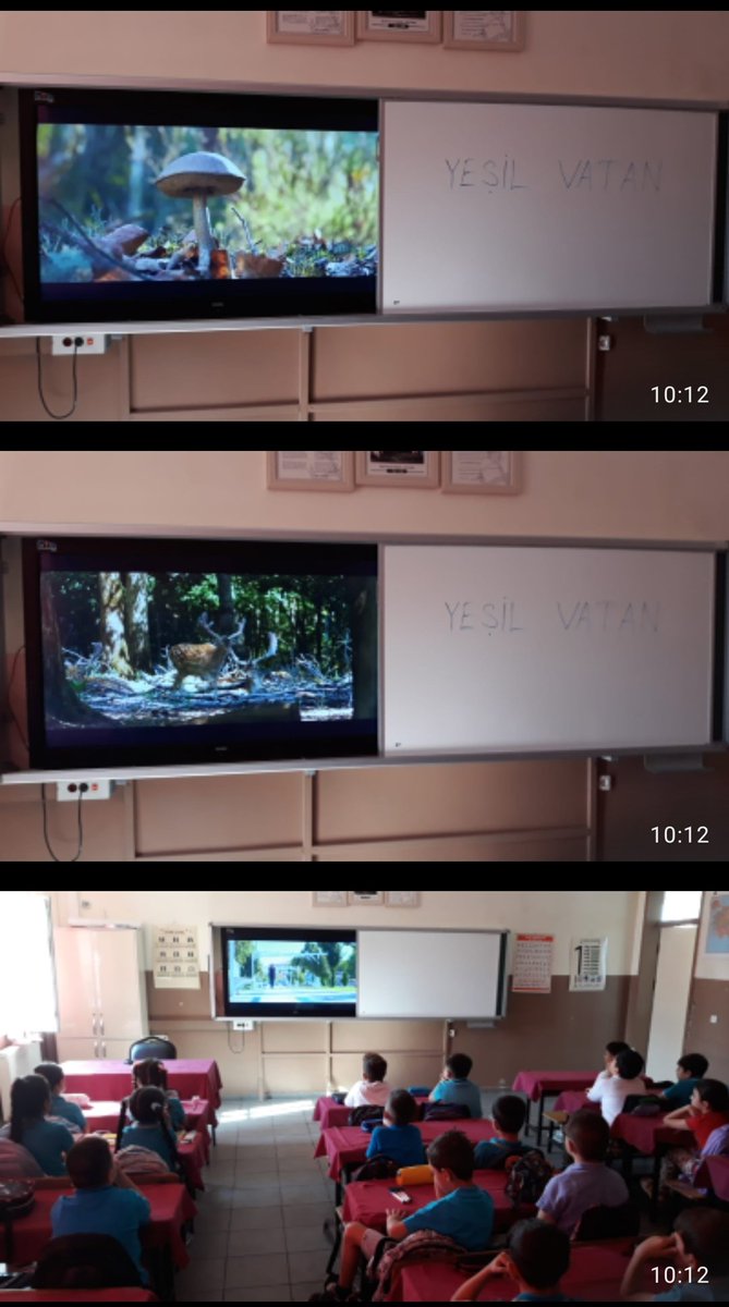 #HerCocukBirFidan 
Her Çocuk Bir Fidan, ilk Ders Yeşil Vatan...
<a href="/tcmeb/">Millî Eğitim Bakanlığı</a> 
<a href="/hasansildak/">Hasan ŞILDAK</a> 
<a href="/Yusuf__Tekin/">Yusuf Tekin</a> 
<a href="/sanliurfammem63/">Şanlıurfa İl Milli Eğitim Müdürlüğü</a> 
<a href="/KarakopruM/">Karaköprü MEM</a>