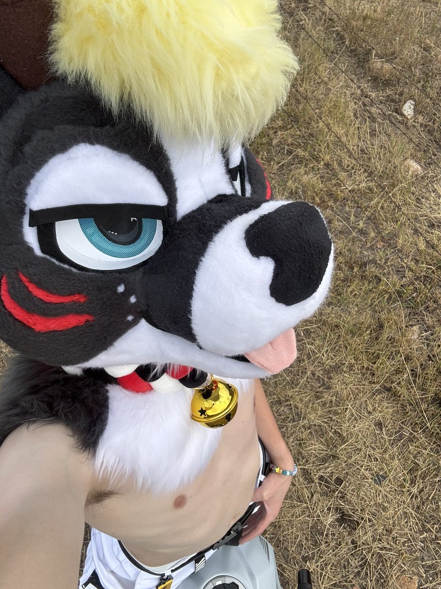 🗣️RUFF‼️ errr I mean bleat… yeh 😅

#furry #nsfwfurry #murrsuit