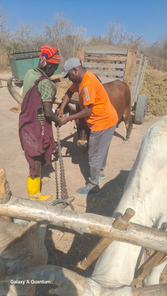 The SPECIAL ONE ™️ tweet media