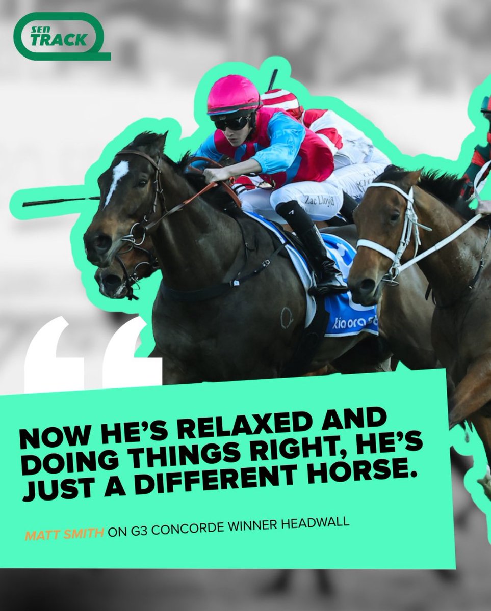We had to spend a couple years teaching him to settle &amp; we’re now seeing a horse that has run top 4 in some of the best G1 sprinting races in AUS

He has only missed the top 4 once in 18 starts and the top 3 twice in 18 starts. 

2 from 2 on heavy &amp; 12: 3-3-3 on Good ground 🤯