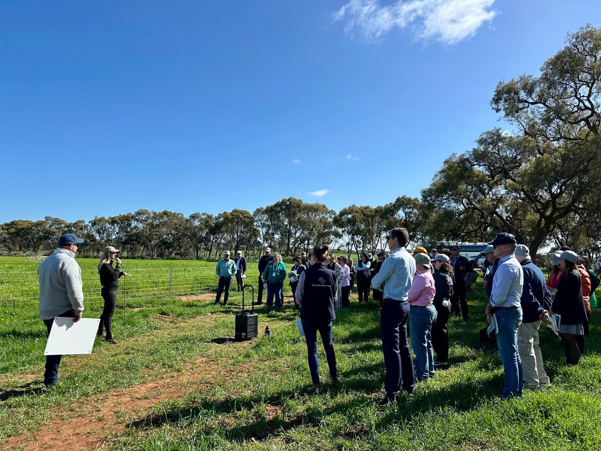 SA Drought Resilience Adoption and Innovation Hub tweet media