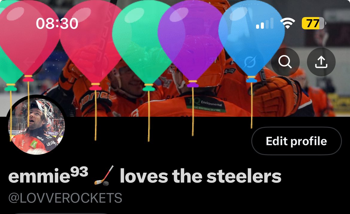 emmie 🏒🍊 tweet media