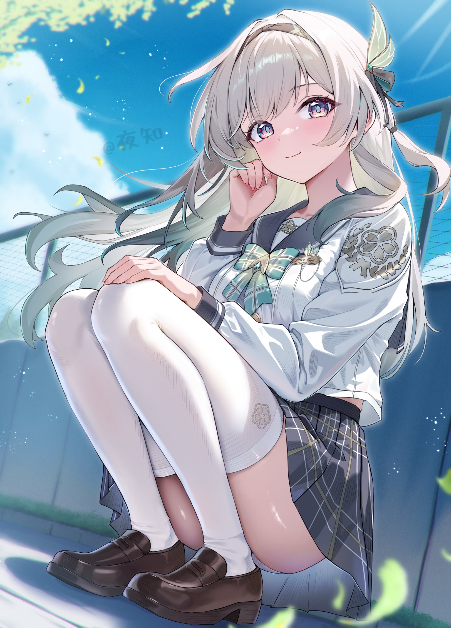 投稿の画像