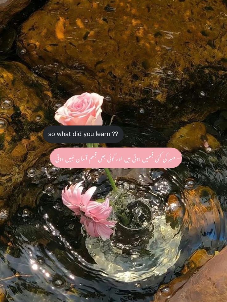 رتبہ تو خاموشیوں کا ہوتا ہے الفاظ تو بدل جاتے ہیں لوگ دیکھ کر
#داستان_دل