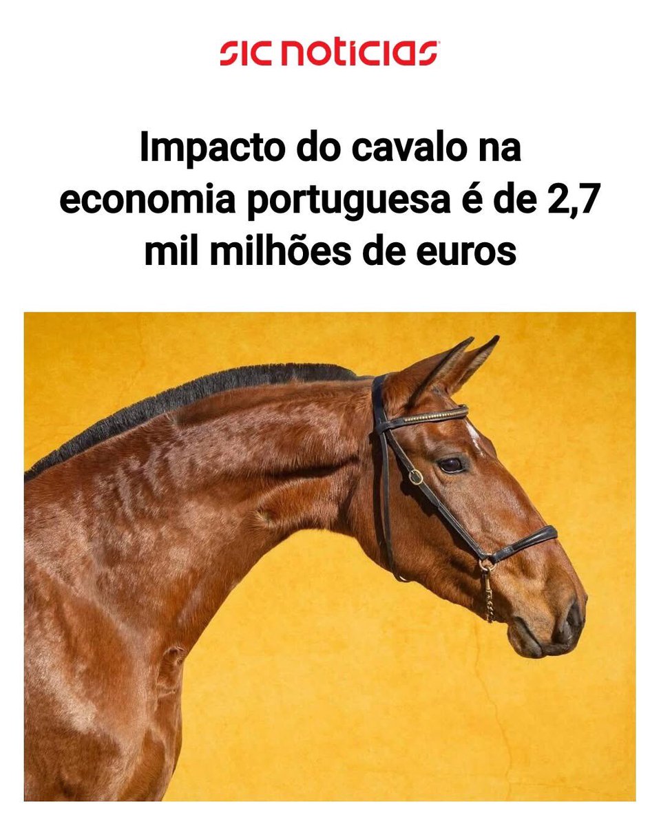 Os cavalos têm mais impacto na economia portuguesa que todos os eleitores juntos do PAN, Livre, PCP e BE 💀
