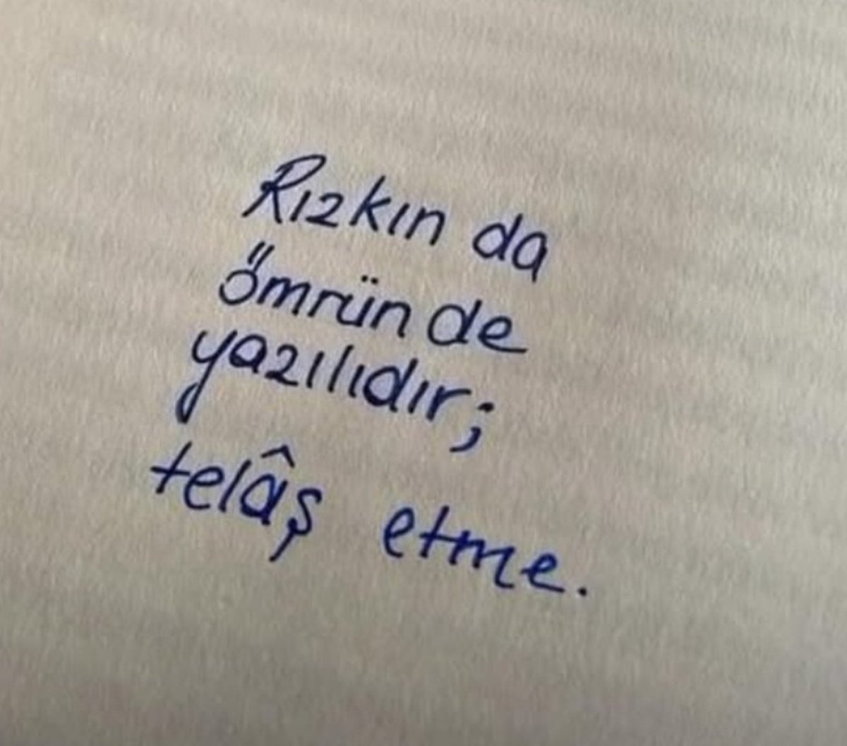 ayaserenat's tweet photo. https://t.co/L9glp6obZz