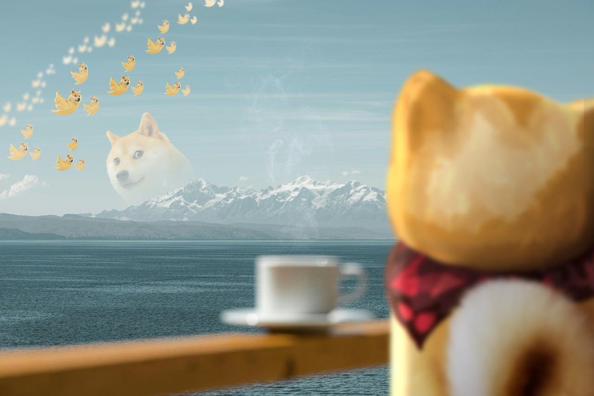 neiro's tweet image. Such majestic mountains
Very Doge birds
Much wow