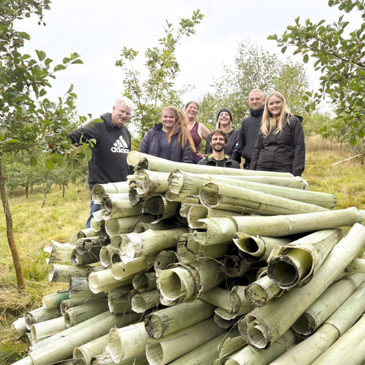 FOD Mobility Group tweet media