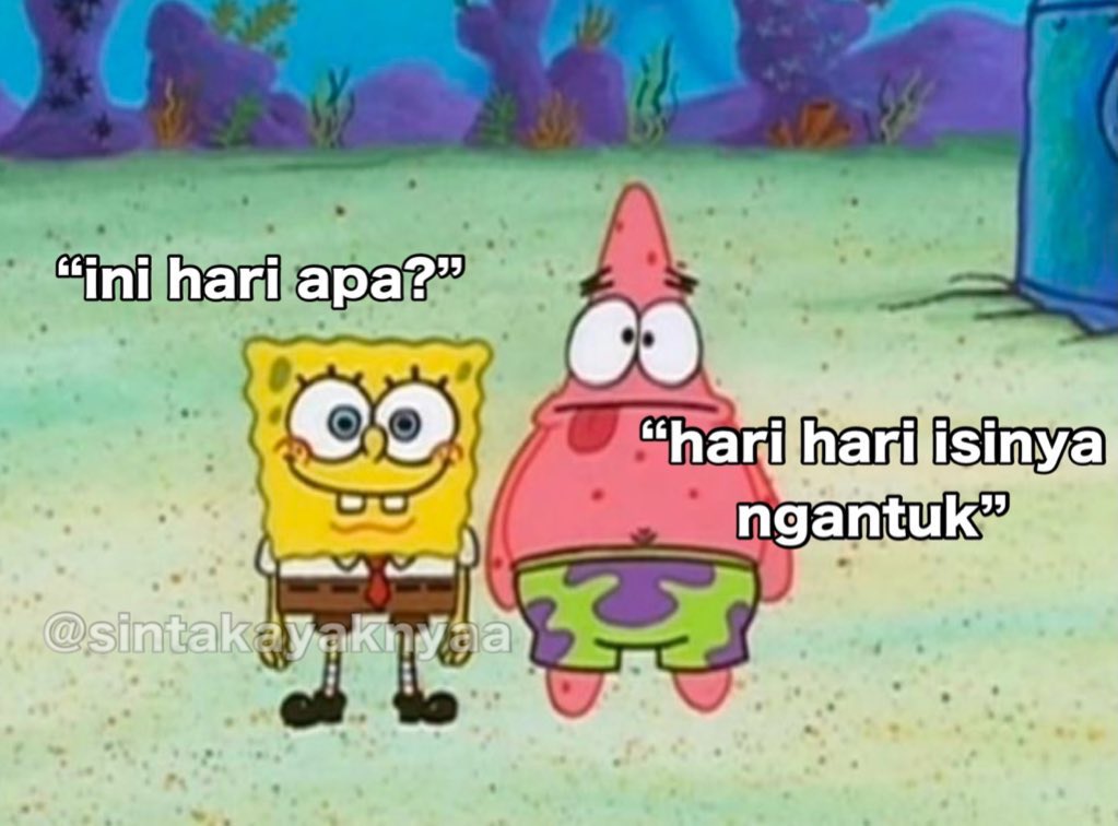 Sinta tweet media