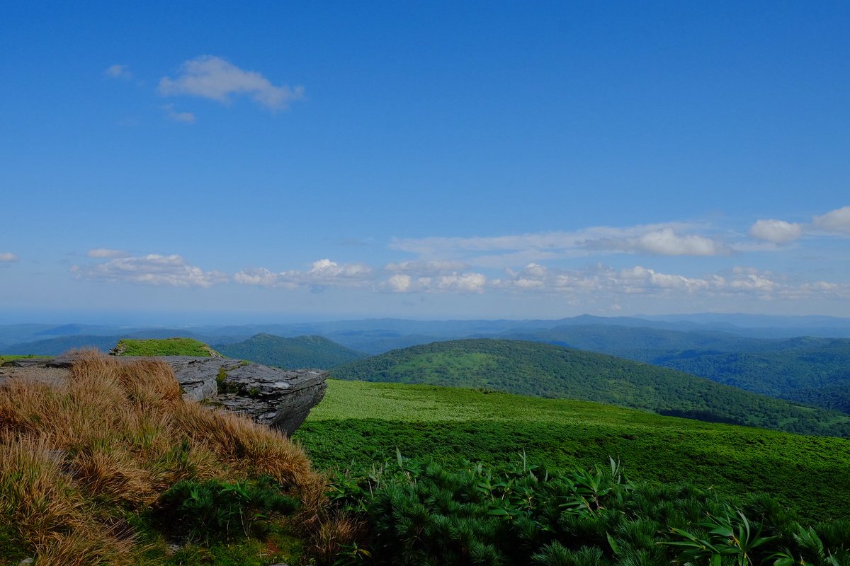 函岳ガチャSSR引き当てました