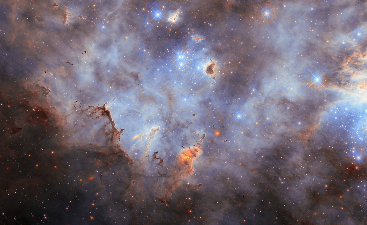 esa's tweet photo. ☁️Hubble captures a cloudy cluster.

This cloudscape is located in the Large Magellanic Cloud, a dwarf galaxy which orbits our Milky Way.

In the image, we see bright, young stars lighting up the gas clouds and sculpting clumps of dust with powerful ultraviolet radiation.

🔗 https://t.co/pfDcpri4ri