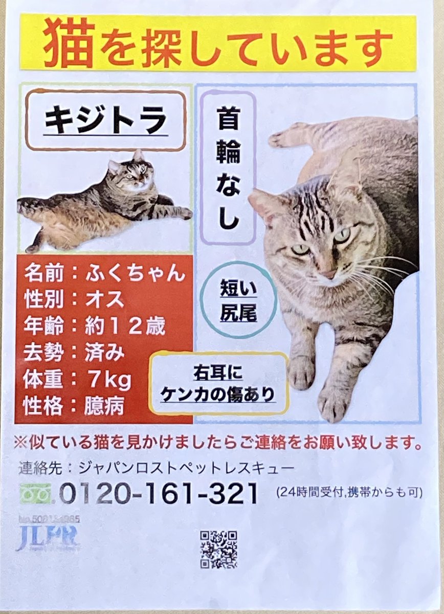 🆘📢猫ちゃん(ふくちゃん♂)探しています‼️北区志茂🐈情報提供宜しくお願い致します🙇‍♀️
 #猫を探しています  #拡散希望 #迷い猫情報 #保護猫 #北区志茂