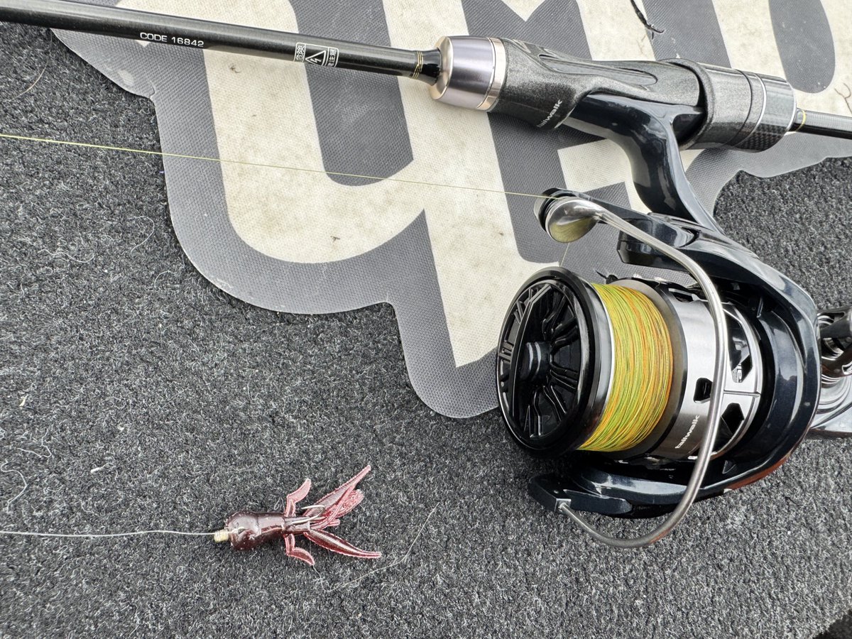 テイルウォーク TAIGAME DGN 63 中 | テイルウォーク(Tailwalk) リール