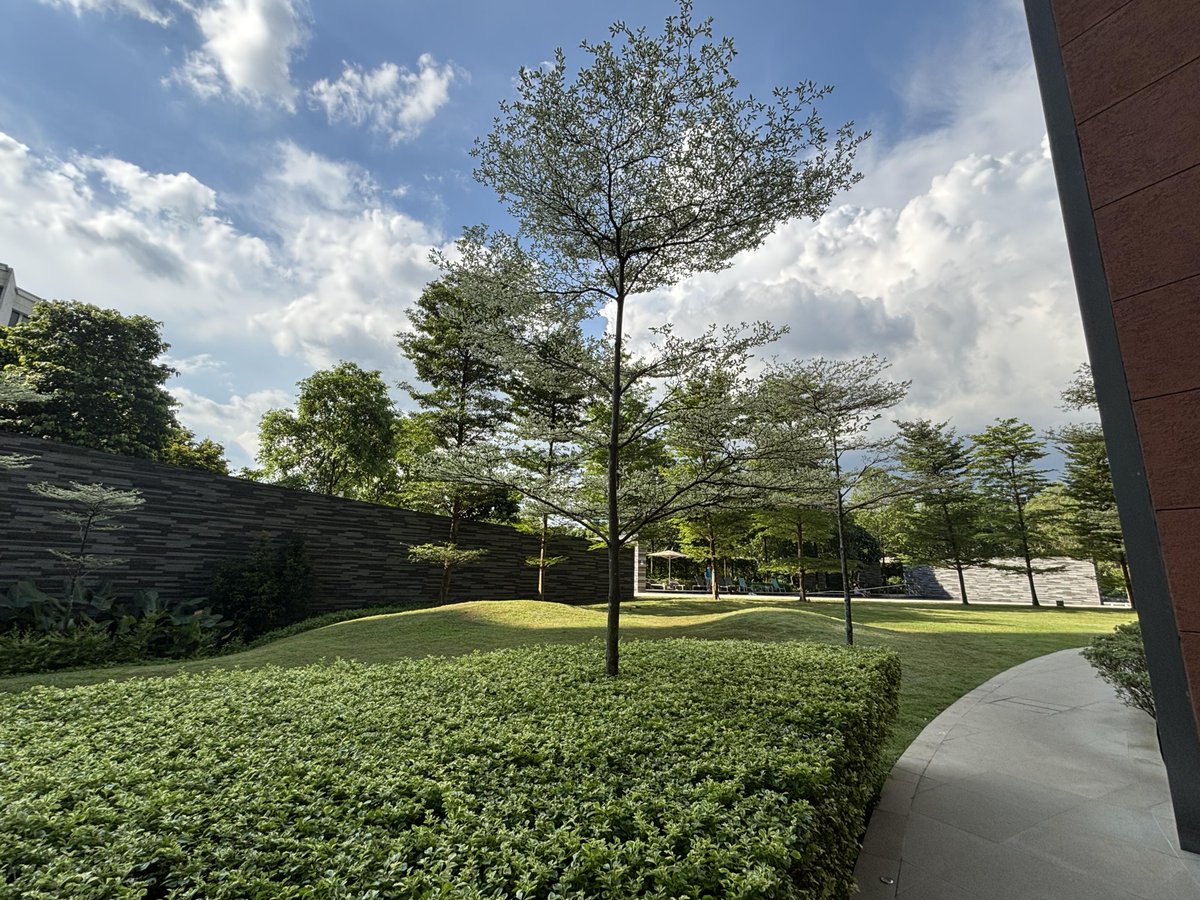 青空と緑に包まれて、心も深呼吸。