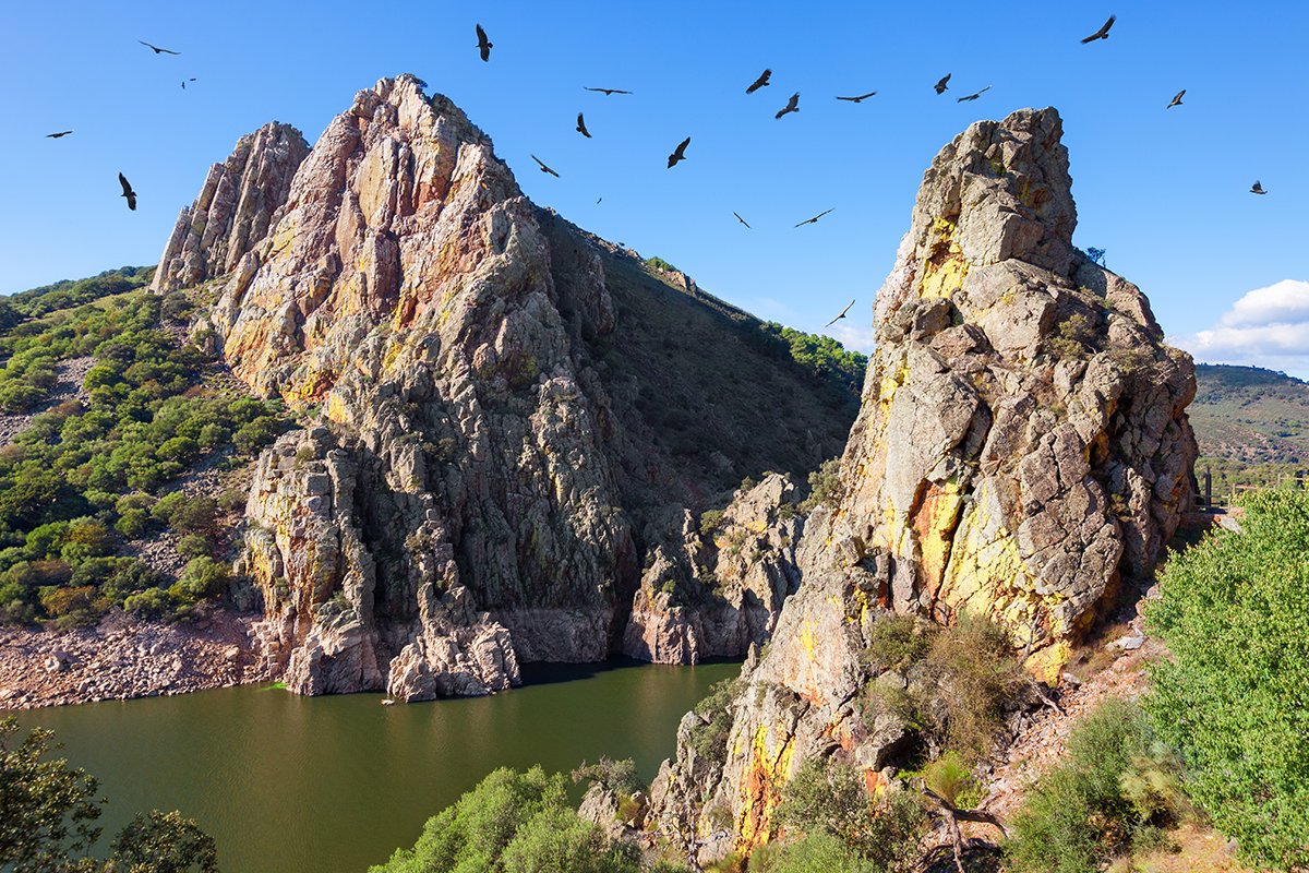 Extremadura es un paraíso para las aves 🦉

Dehesas, humedales y sierras se convierten en refugio para grullas, buitres, cigüeñas negras y una gran variedad de especies 🦌🌿

Un territorio donde la biodiversidad late con fuerza 💚🤍🖤

¡Feliz #DíaDeExtremadura!