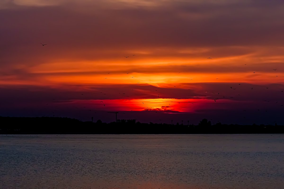 iancuionut's tweet image. #Eclipsa de lună văzută din #București și un apus superb.