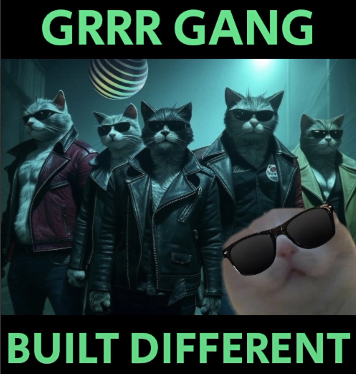 Grrr Birthday in 48 Hrs
Seeker szn starts today 

Prob nothing 😺