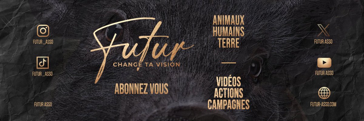 🚨 On migre vers un autre compte !
Rejoins-nous 👉👉👉<a href="/asso_FUTUR/">FUTUR</a>