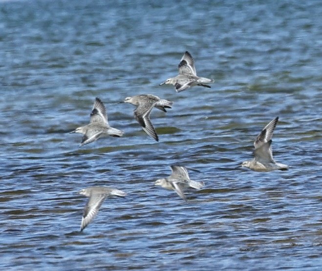 Sharon Towning tweet media